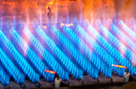 Bedrule gas fired boilers